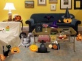 Gra Halloween Room