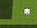 Gra Panda Hates Mazes