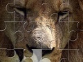 Gra Lion Jigsaw