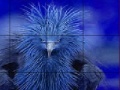 Gra Timid blue bird slide puzzle