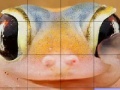 Gra Pink frog slide puzzle