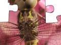Gra Jigsaw: Dragonfly