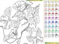 Gra Kid's coloring: Flowers for Butterflies