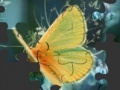 Gra Butterfly