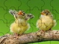 Gra Two cute sparrow puzzle