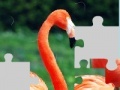 Gra Flamingo puzzle
