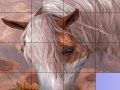 Gra Slide Puzzle: Horse