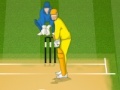 Gra Cricket 2013