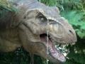 Gra Tyrannosaurus Rex Jigsaw