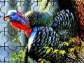 Gra Colorful turkey in the forest puzzle