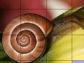 Gra Snail and flower slide puzzle