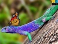 Gra Lizard and butterflies puzzle