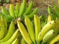 Gra Jigsaw: Banana Bunch