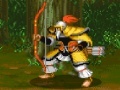 Gra Dynasty Fighter
