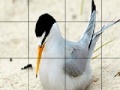 Gra Orange beak bird slide puzzle