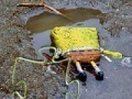 Gra SpongeBob Found Dead Jigsaw Puzzle