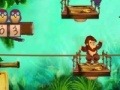 Gra Mr.Monkey