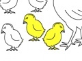 Gra Chicken Family: Coloring