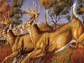 Gra Runner deers slide puzzle