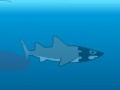 Gra Medieval Shark