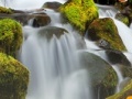 Gra Forest Waterfalls