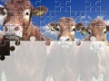Gra Gorgeous Cows Jigsaw