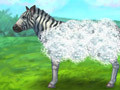 Gra Feed Zebra