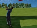 Gra Flash Golf 2