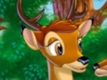 Gra Hidden Turkey-Bambi