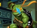 Gra Ninja Turtles Hidden Numbers