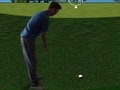 Gra Flash Golf 3D