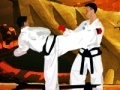 Gra Tae Kwon-Do Competition