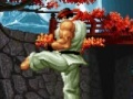 Gra The king of the fighters. Wing V1.8