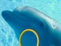 Gra Dolphin Tale 2 Hidden Alphabets