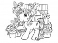 Gra My Little Pony: Crystal Princess Coloring Book