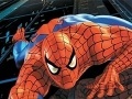 Gra Spider-Man: Puzzles