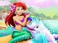 Gra Ariel Dolphin Wash