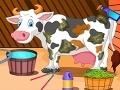 Gra Holstein Cow Care