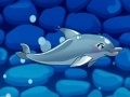 Gra My Dolphin Show 5