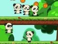 Gra Panda Shock Troop 