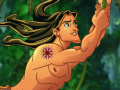 Gra Tarzan jungle problems 