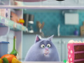 Gra The Secret Life Of Pets Spot The Numbers