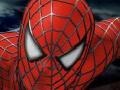 Gra Spider-man 3: Rescue Mary Jane 