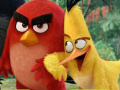 Gra Angry Birds Shooter 