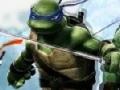 Gra Ninja Turtle Double Dragons 