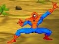 Gra Spiderman: Hero Training 
