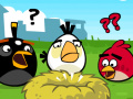Gra Angry Birds HD 3.0