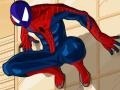 Gra Spiderman Costume
