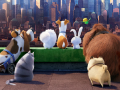 Gra The Secret Life Of Pets Find Objects