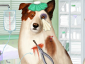 Gra Doctor For Dog With a Blog
